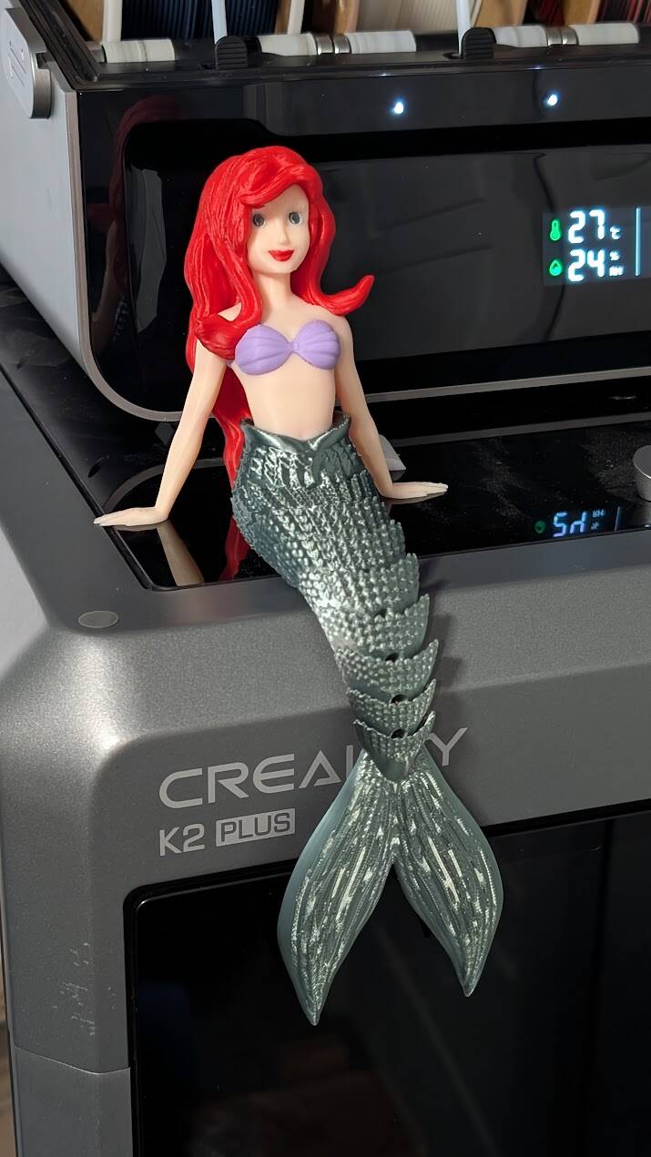 Custom 3D-printed order