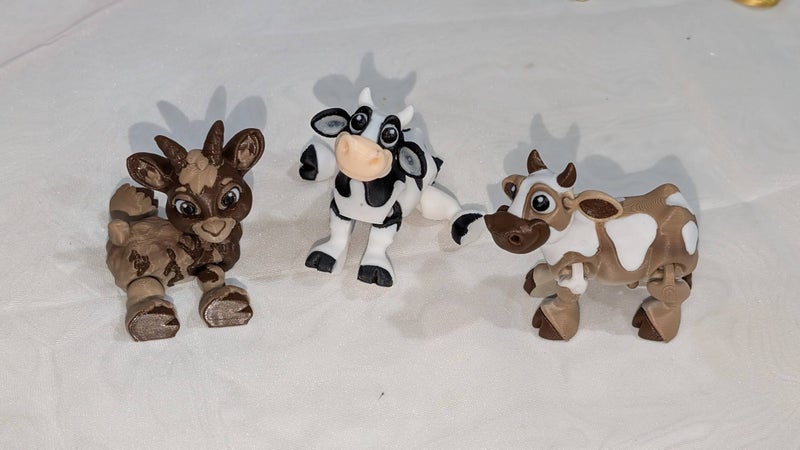 Custom 3D-printed order
